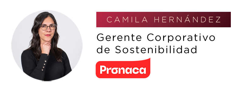 Nombres Invitados especiales 3